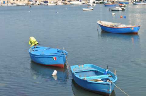 Monopoli, per tutto il mese una giornata sui gozzi nelle acque del vecchio porto